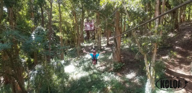 Koloa Zipline LLC - 2018-12-20-14-04-49-000-wx0n